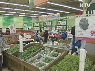 "오는 주말 배추값 4천원대 하락 전망"