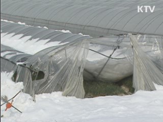 폭설피해 복구비 20억 원 긴급 지원