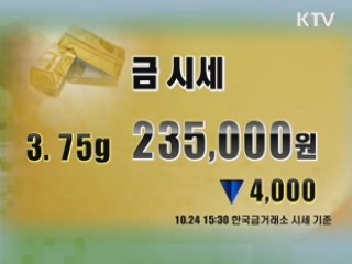 증시정리 환율 금시세