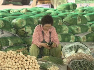 농산물 수출 증대, 정부지원정책 효과