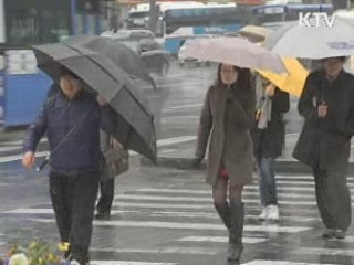 보슬보슬 봄비, 경제적 가치 213억원