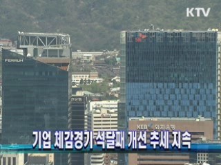 기업 체감경기 석달째 개선 추세 지속