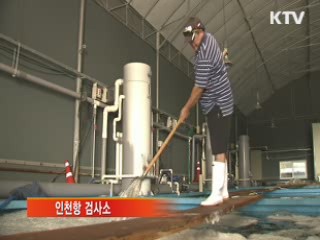 방사능 불안감···수산물 검사 과정 공개