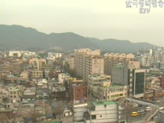 예단이 빚은 악영향