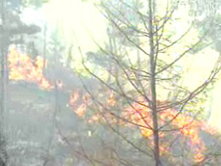 산림청, ‘20일부터 전국 산불 경계령’