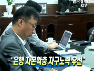 은행 자본확충 자구노력 우선