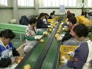 유통구조 개선, 상시적 물가안정