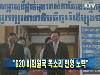 이 대통령 "G20 비회원국 목소리 반영 노력"