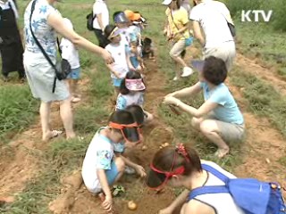 '농촌개발사업'으로 되살아난 농촌