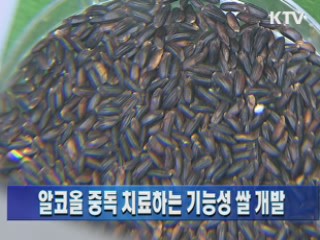 알코올 중독 치료하는 기능성 쌀 개발