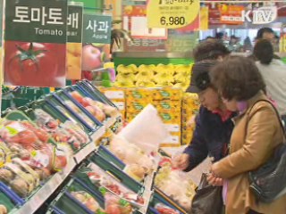 일본산 수입식품 방사능 '철통 검역중'