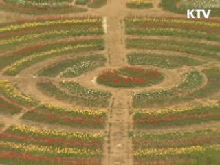 경남 남해 "튤립 구경 오이소"