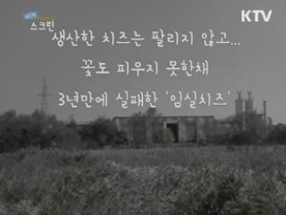 G20세대 영상창작 도화지 '스크린' (10회)