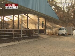 정부 "구제역 백신 부작용 사례 없어"