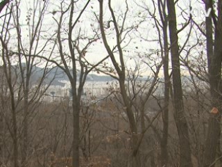 25만ha 숲 가꾸기…녹색 일자리 1만7천개 창출