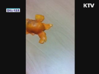 제3회 10초 애니메이션 페스티벌 [캠퍼스 리포트]