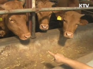 2차피해 확산 차단…특별재난지역 선포 검토