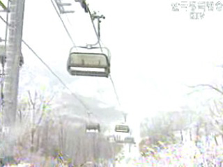 마지막까지 최선