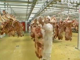 부시 `한국 쇠고기 개방, 美 주요 외교정책`