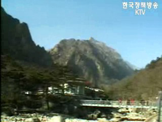 남북 적십자, 이산가족면회소 공사 재개 논의