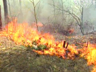‘산불위험지수, 산불예방에 활용’