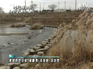 우리땅 우리바다