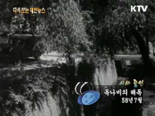 독나비의 해독(58')