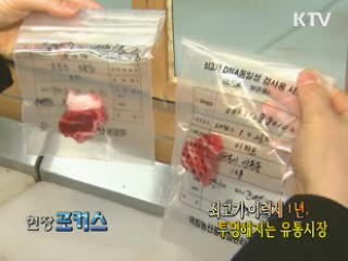쇠고기 이력제 1년, 투명해지는 유통시장 [현장포커스]