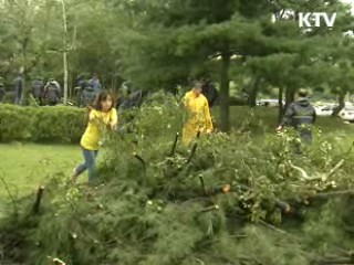 곤파스' 피해 복구에 공무원 등 2만명 투입