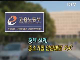 중소기업 청년 인턴제 [정책 플러스]