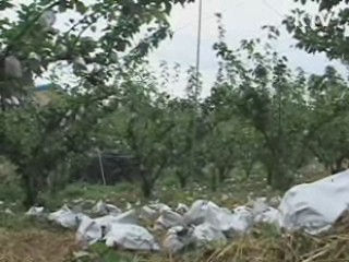 내년 농업경영회생자금 600억원 지원