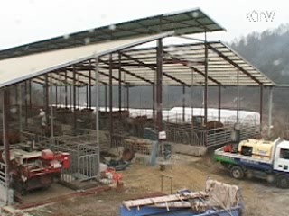 이달 말부터 구제역 지역 확산 진정 될 듯