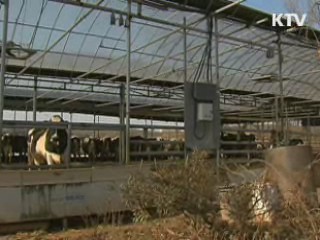 구제역·AI 매몰지 전수조사 실시