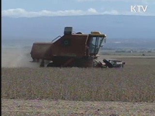 2015년까지 해외곡물 400만톤 확보 추진