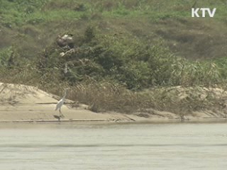 침수피해 줄어든 금강, 마무리 작업 박차