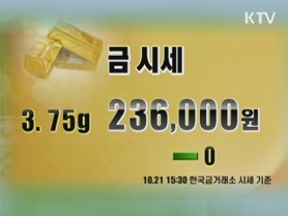 증시정리 환율 금시세