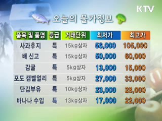 알뜰장보기 물가정보