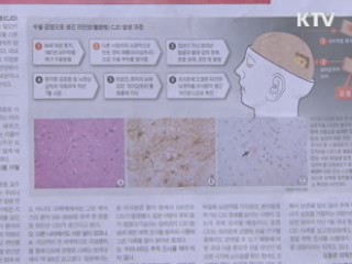 조간 브리핑