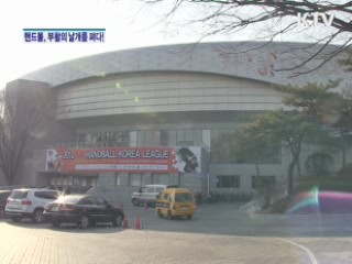 핸드볼, 부활의 날개를 펴다! [생활愛스포츠]