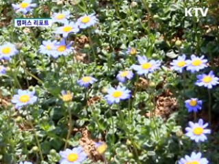 고양꽃박람회, 2억 송이 꽃의 향연