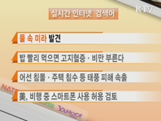 실시간 인터넷 검색어
