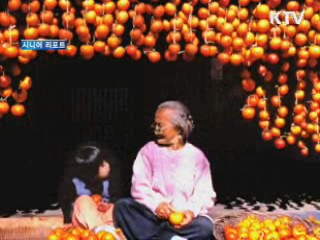 "노인을 위한 나라는 없을까" [시니어 리포트]