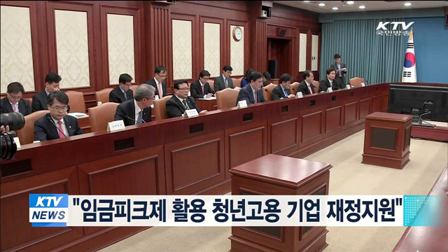 "임금피크제 활용 청년고용 기업 재정지원"