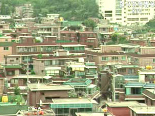 자진신고 `30% 증가`