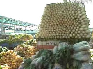 올 김장 비용 10% 이상 감소 예상