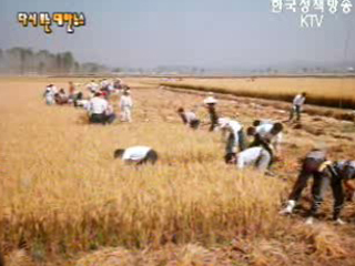 땀 흘린 보람을 함께(`80)