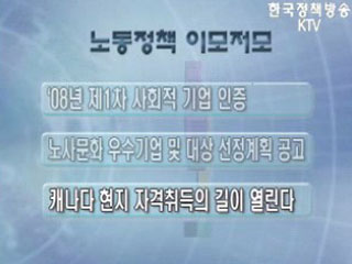 노동정책 이모저모 