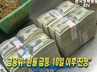금융위 ‘환율 급등, 10일 이후 진정’