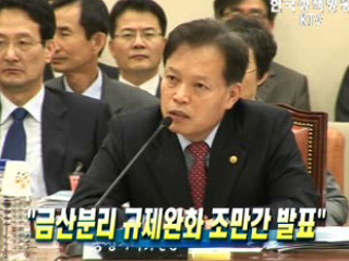 금산분리 규제완화 조만간 발표