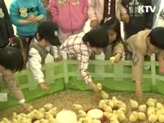 '저탄소 농업' 녹색기술 한 자리에